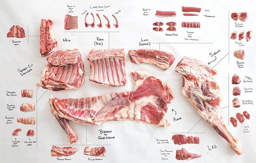 Lamb sheep cuts - cuts, poster