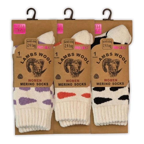 Ladies merino lambs - ladies,