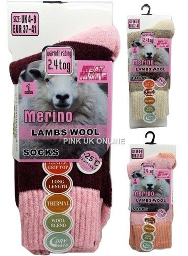 New ladies merino lambs - ladies,