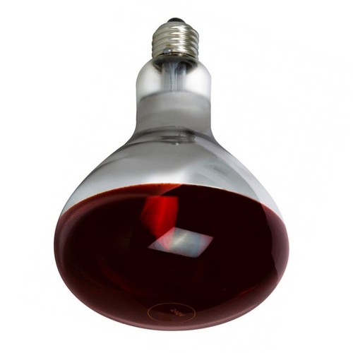 Infra red heat bulb - heat, lamp