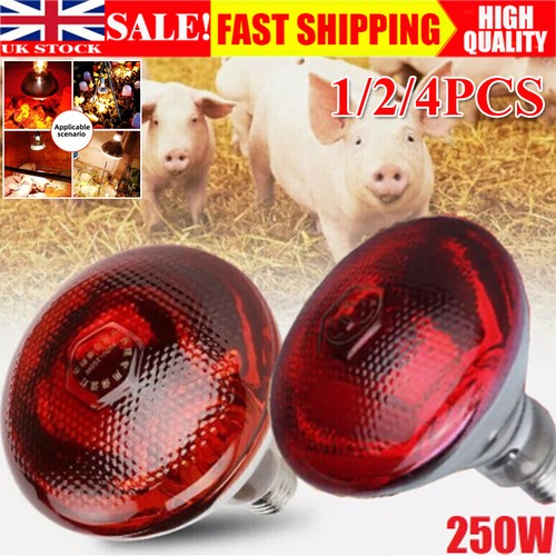 Infra red heat - red, lamp