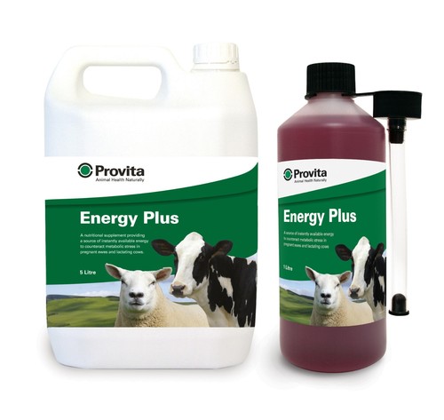 Provita energy plus sheep - plus,