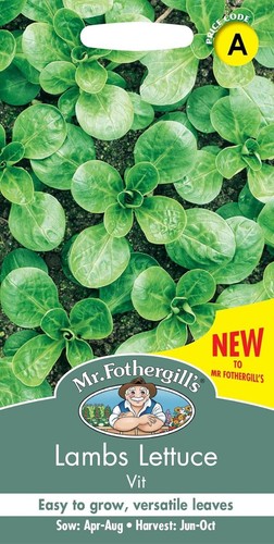 Lambs lettuce seeds - lambs,