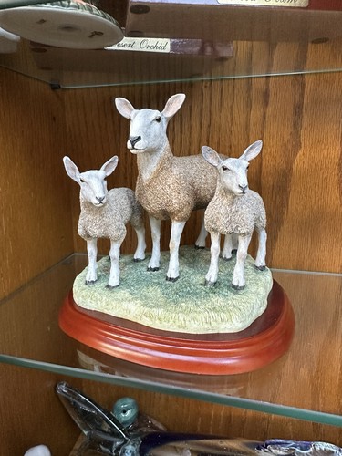 Border fine arts sheep breeds - fine,