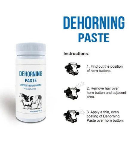Dehorning paste calf lambs - dehorning, calf/lambs