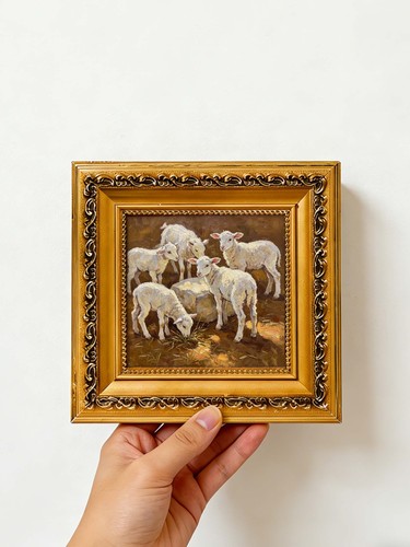 Playful lambs sheep grazing - playful,