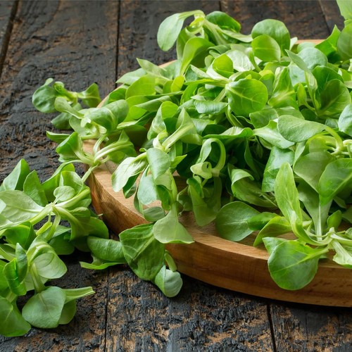Lambs lettuce seeds 305 - seeds, corn