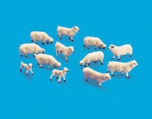 Sheep ewes lambs oo ho - &,